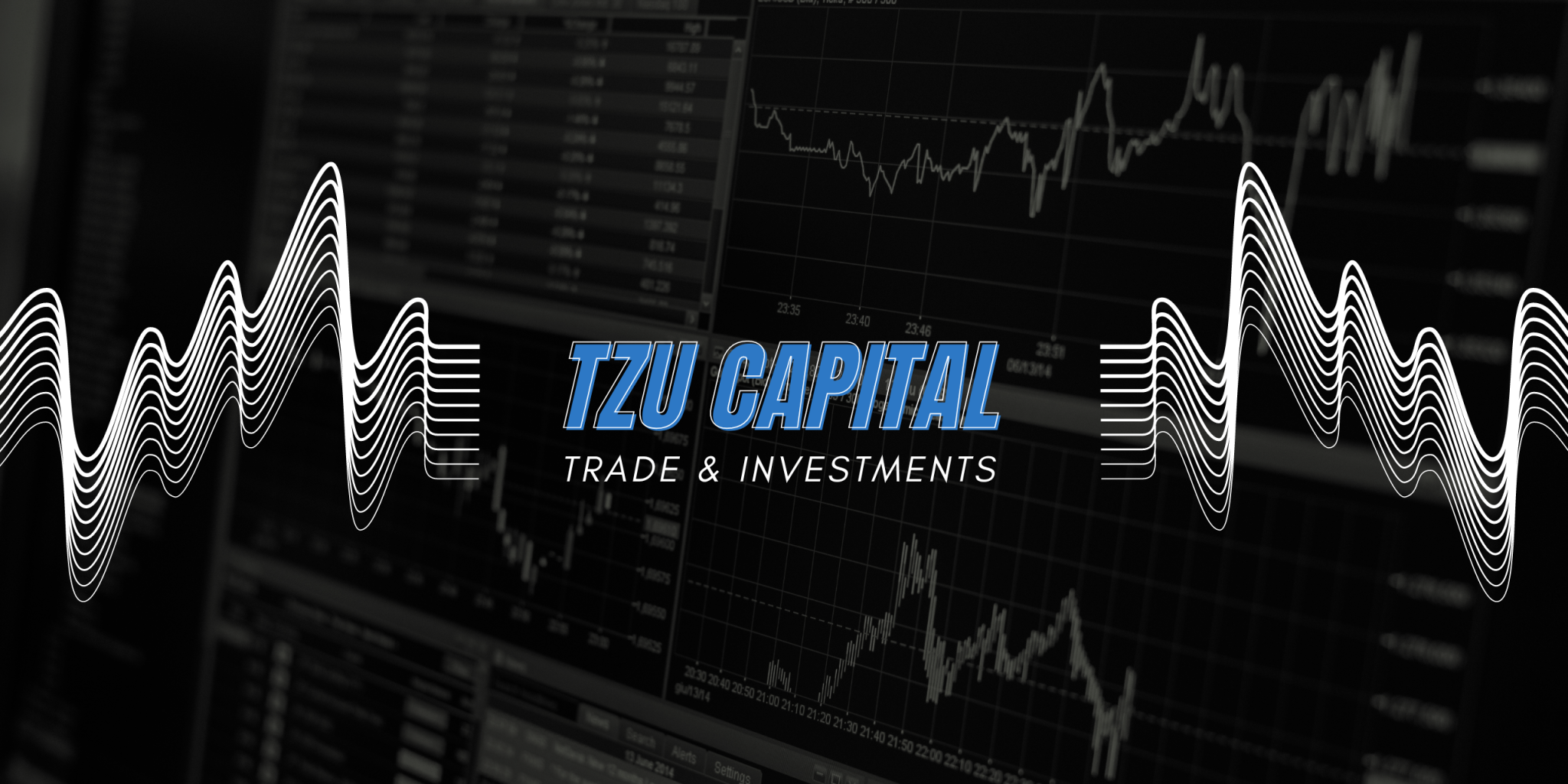 tzu capital trade & investments